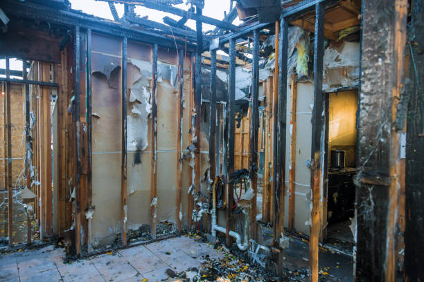 Professional Fire Damage Repair technician working in Stockton, NJ